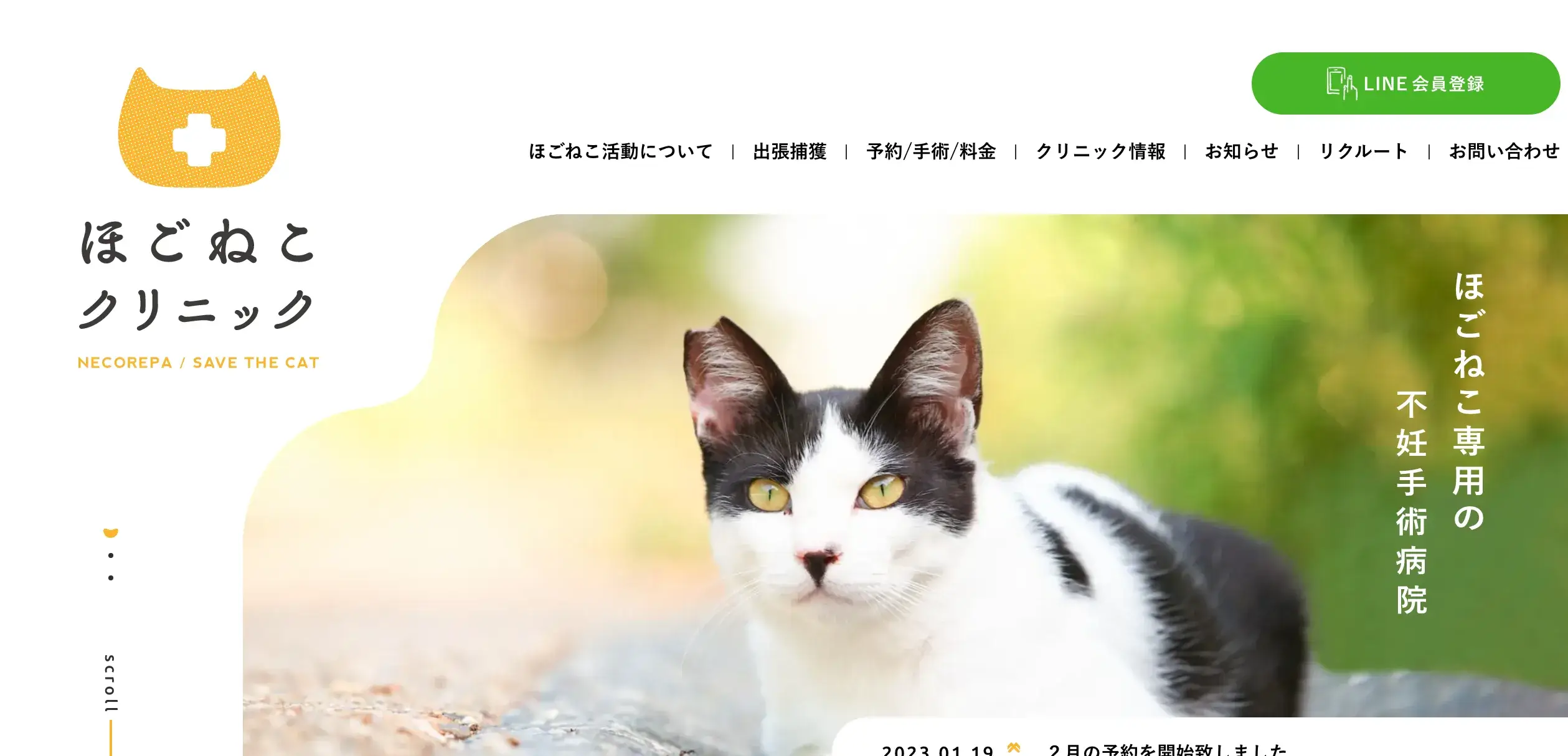 いろはのストックwebサイト100選　No.012 ほごねこクリニック
