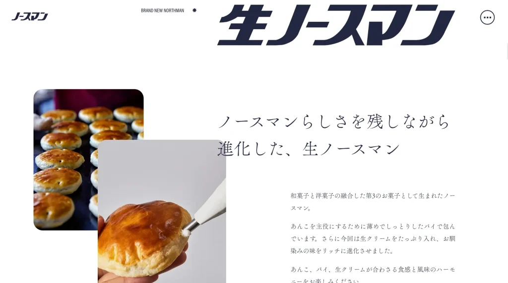 いろはのストックwebサイト100選　No.011 ノースマン公式サイト